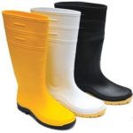 WhatsApp Image 2020-06-04 at 6.23.39 PM